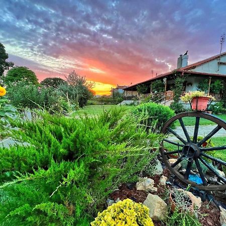 Ivonnis Garden Villa Mesimvria  Buitenkant foto