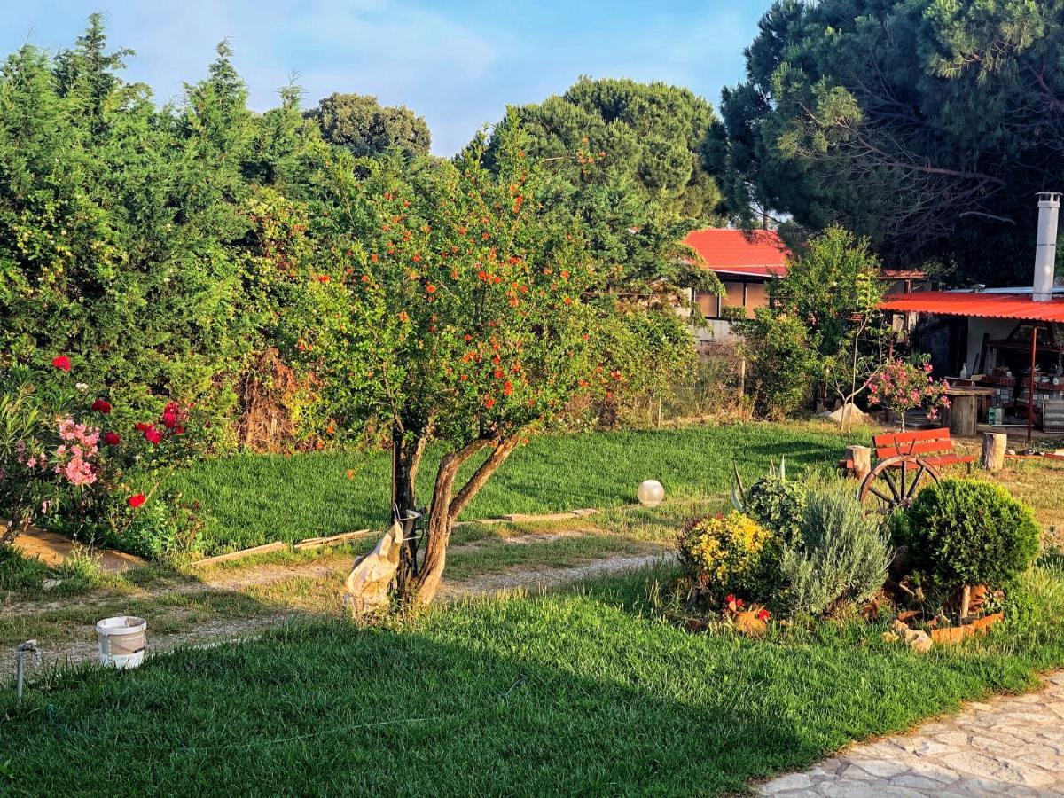 Ivonnis Garden Villa Mesimvria  Buitenkant foto