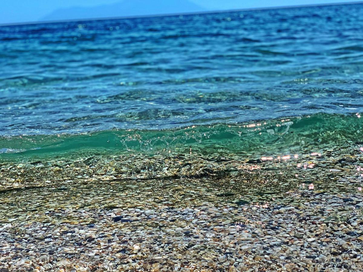 Ivonnis Garden Villa Mesimvria  Buitenkant foto