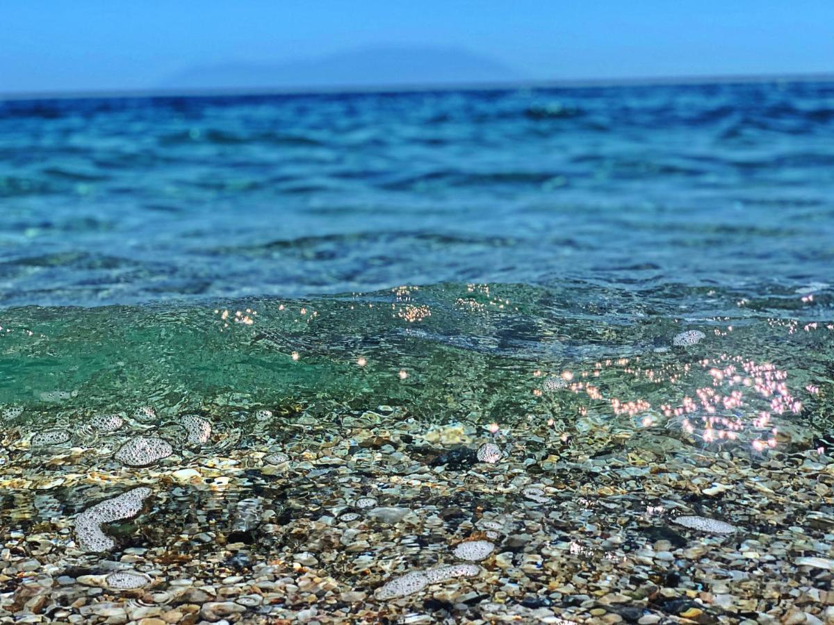 Ivonnis Garden Villa Mesimvria  Buitenkant foto