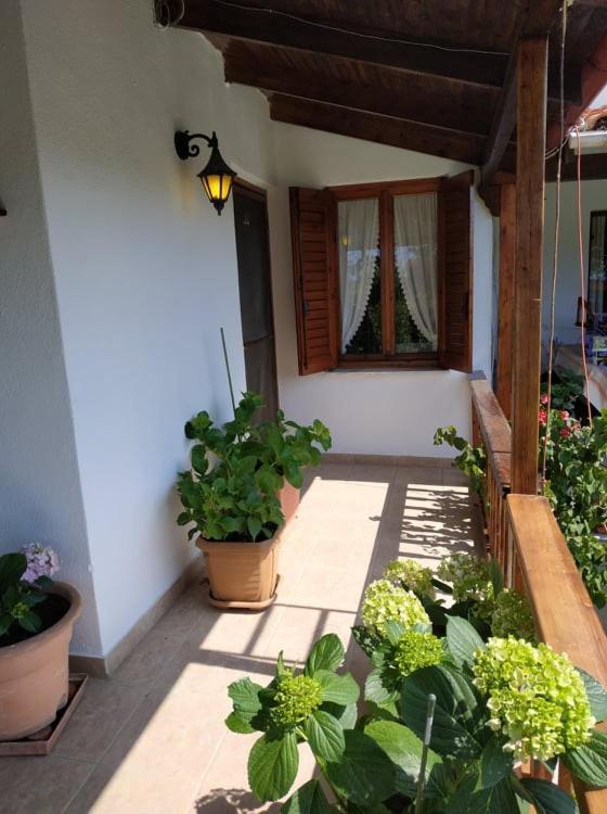 Ivonnis Garden Villa Mesimvria  Buitenkant foto