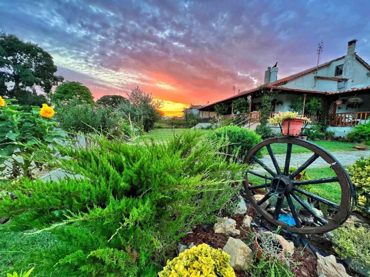 Ivonnis Garden Villa Mesimvria  Buitenkant foto