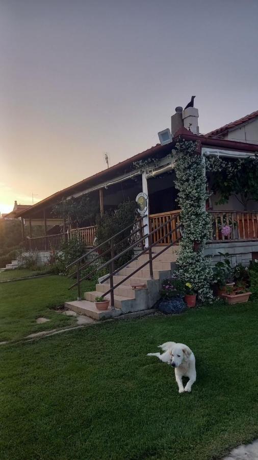 Ivonnis Garden Villa Mesimvria  Buitenkant foto