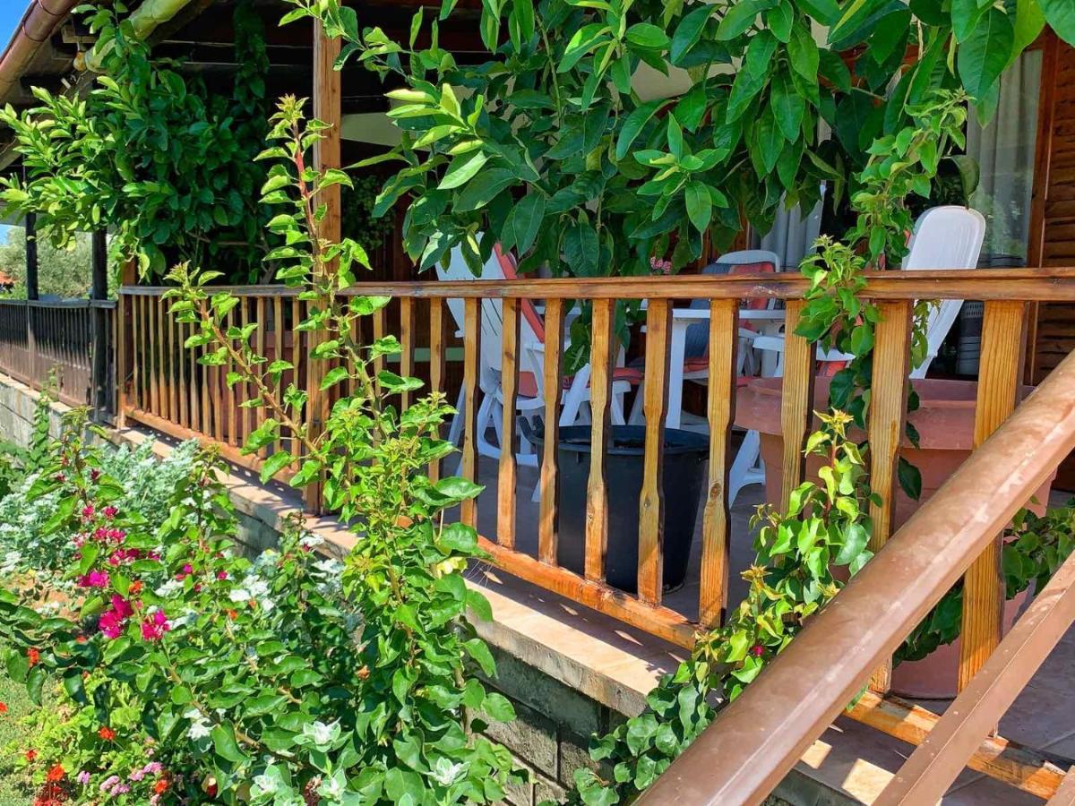 Ivonnis Garden Villa Mesimvria  Buitenkant foto