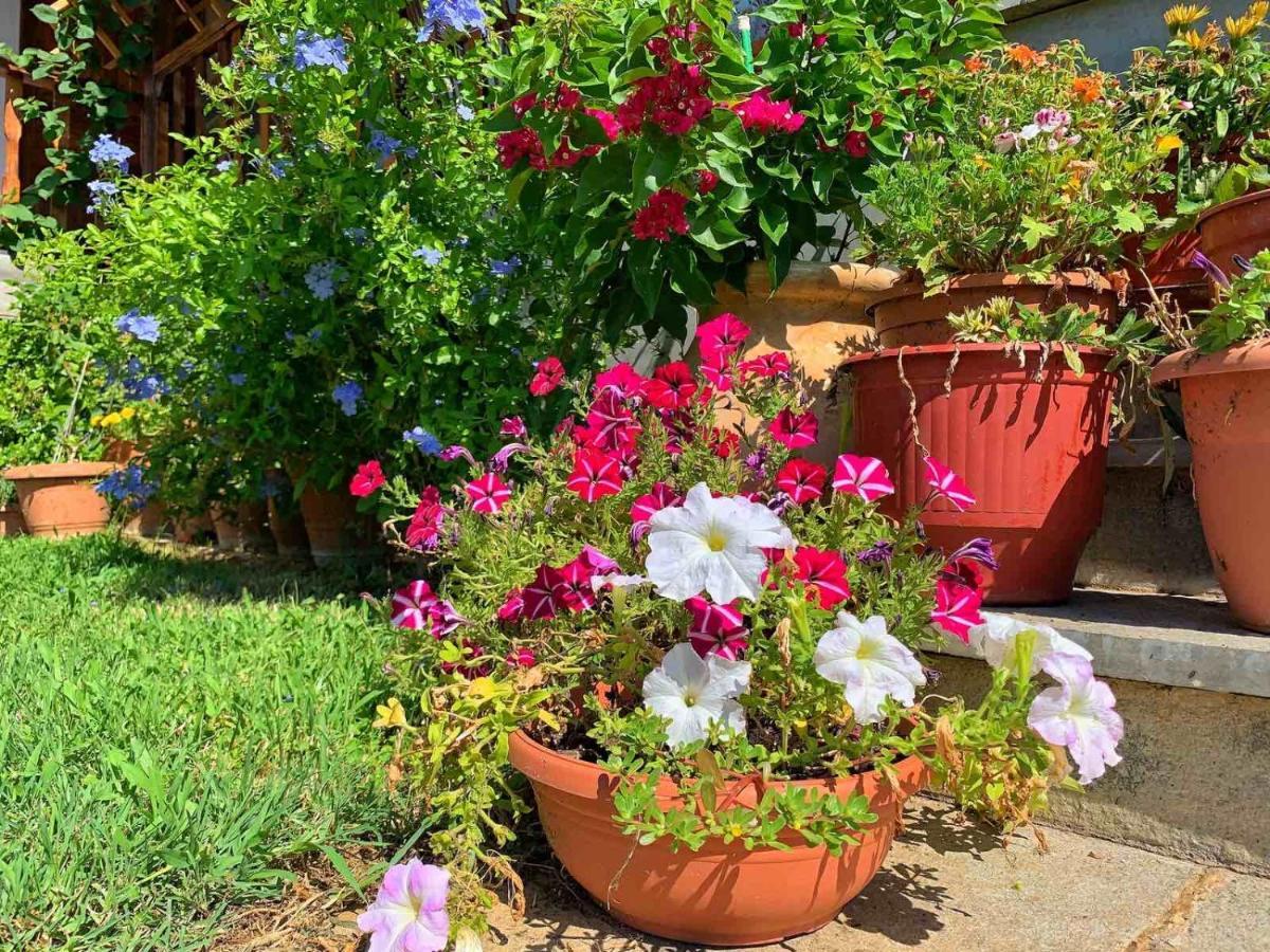 Ivonnis Garden Villa Mesimvria  Buitenkant foto