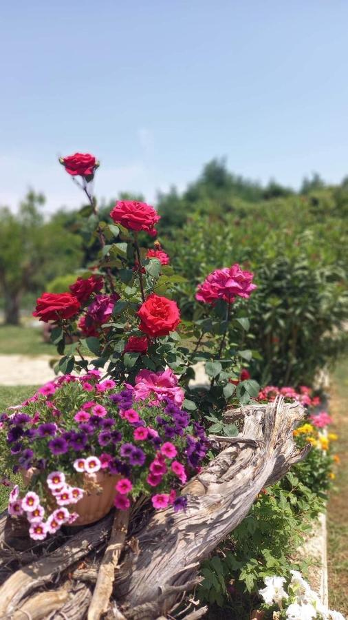 Ivonnis Garden Villa Mesimvria  Buitenkant foto