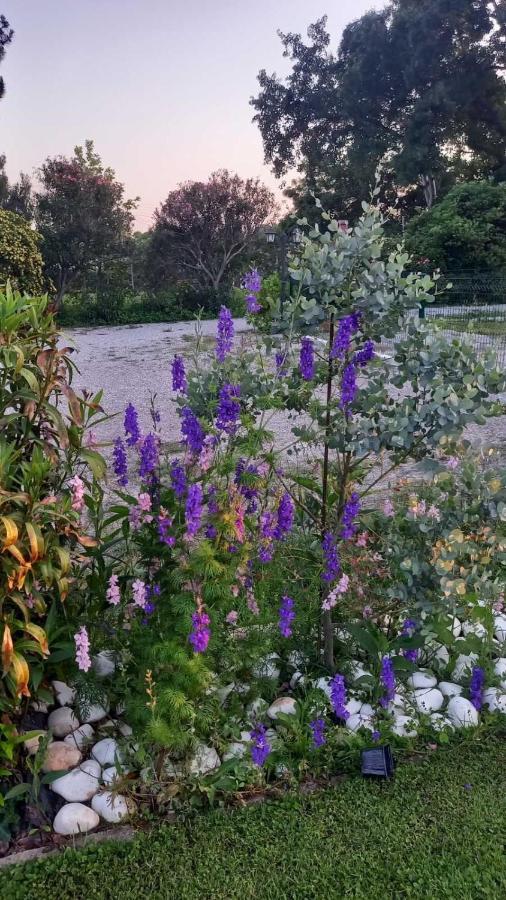 Ivonnis Garden Villa Mesimvria  Buitenkant foto